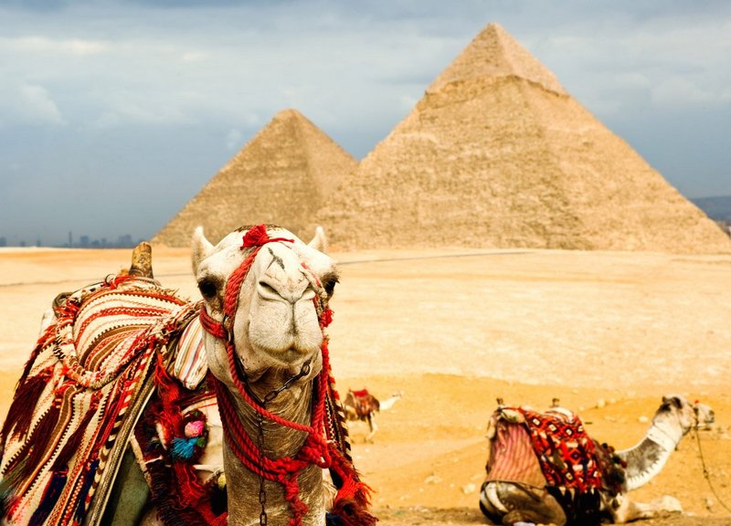 Прямые бронирования отелей и дешевый Египет — новые тренды турсезона 2022