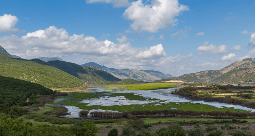 Внутренний турпоток достиг 76,2 млн поездок