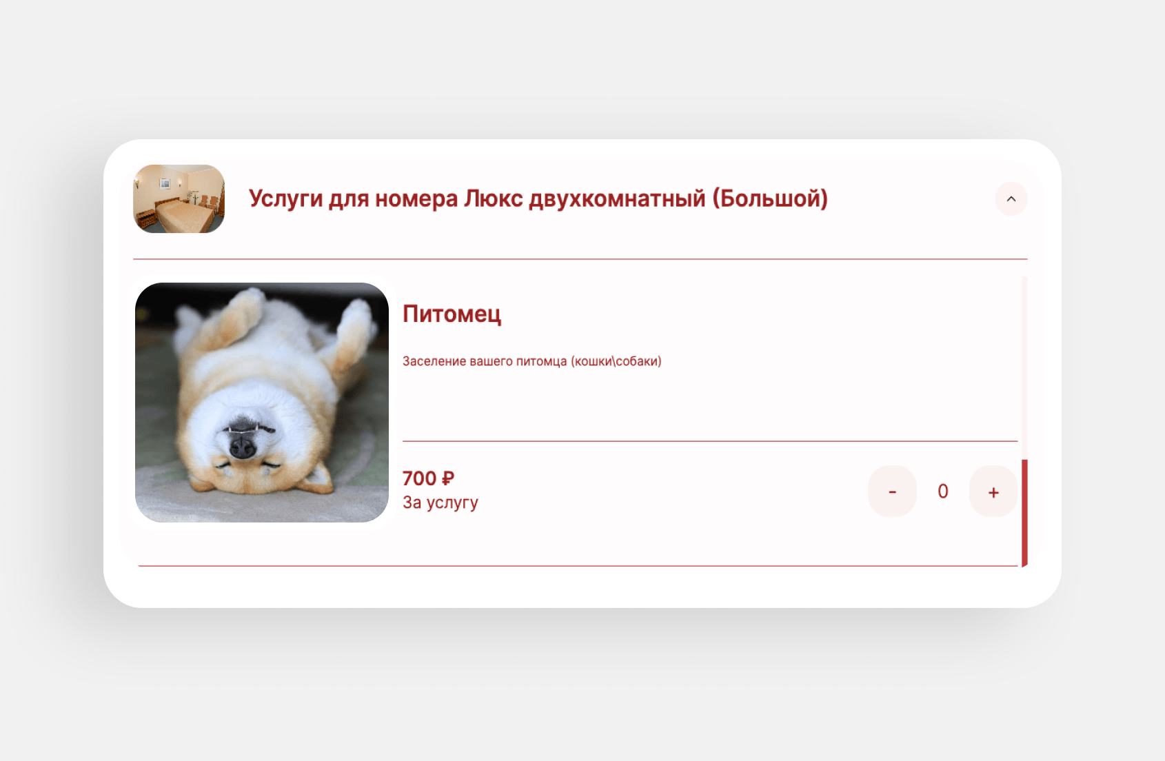 продажа допуслуг через bnovo на сайте Сегежа
